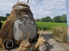 -嘉北郊野公园