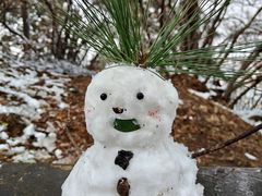 -敬亭山风景名胜区