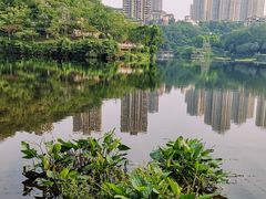 -重庆彩云湖湿地公园