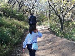-高尔山公园
