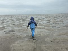 -北海金海湾红树林生态旅游区