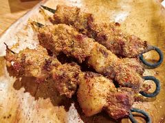-宝山一号馕坑肉