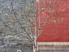 -东华门大街小区