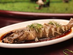 清蒸北冰洋鲽鱼-一家春酒楼(惠工街店)