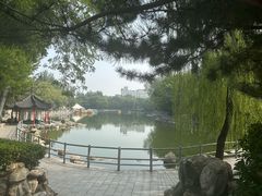 -莲湖公园