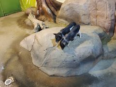 -苏州海洋馆