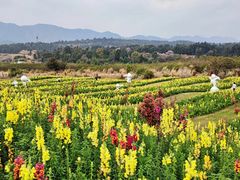 -华侨城阳宗海海景温泉