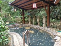 -明月山天沐温泉度假村