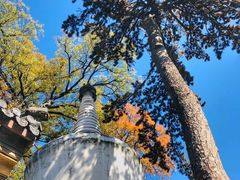 -潭柘寺景区