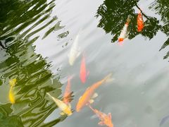 -园林格兰云天大酒店-太极名厨中餐厅