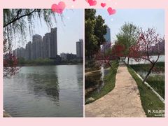 -西北湖绿化广场