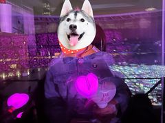 -杭州奥体中心-体育场