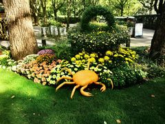 -上海共青森林公园