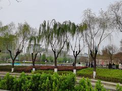-泉城广场