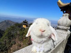 -九华山风景区