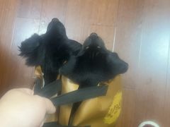 -瑞派申生动物医院·24H夜诊·国际动物医疗中心·骨外科(吴中路店)