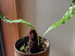 -竹里馆 ·茶食(奥体店)