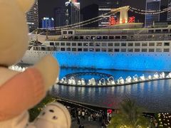 -润园四季椰子鸡火锅(海上世界店)