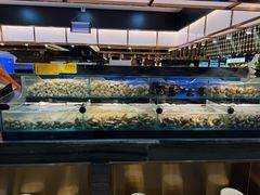 -苏格里岛自助烤肉海鲜火锅(成都金牛万达店)