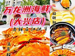 -万龙洲海鲜(大兴绿地缤纷城店)