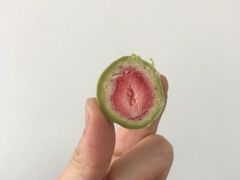 -猫相扑零食杂货铺(欧洲城店)