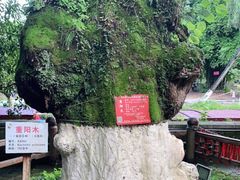 -桂林灵渠景区
