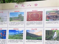 -灵光寺