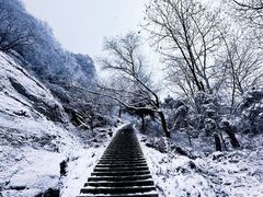 -秦岭终南山世界地质公园翠华山景区