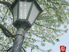 -中山公园