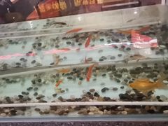 -令狐冲烤鱼·烧菜馆(达明店)