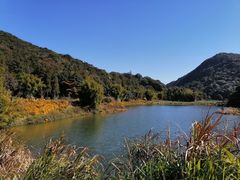 -广州市石门国家森林公园