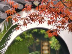 -汇龙潭