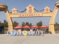 -金塔沙漠胡杨林景区