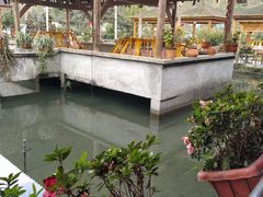 -源泉冷水鱼庄(小鱼洞店)