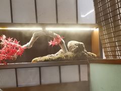 -牛New寿喜烧(新六百店)