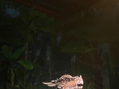 -侏罗纪世界电影特展(广州站)