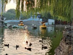 -团结湖公园