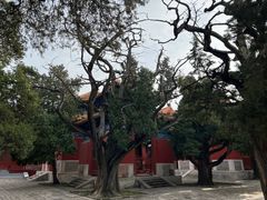 -北京国子监胡同