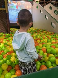 -绿野星空儿童乐园