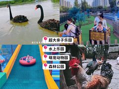 -蒙特利亲子乐园