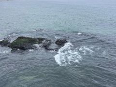 -青岛海滨风景区