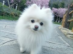 -铜锣山矿山公园