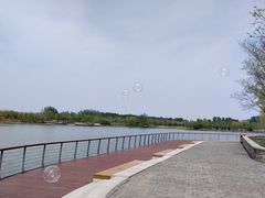 -东郊湿地公园