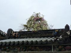 -深圳国际园林花卉博览园