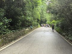 -三门江国家森林公园