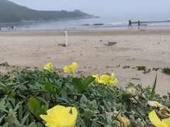-青澳湾北回归线广场