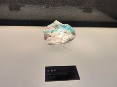 -长江文明馆
