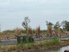 -泗洪洪泽湖湿地景区