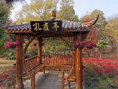 -南京枫彩漫城