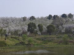 -宜兴龙背山森林公园